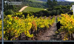 Développeur Front-end & animations • Derenoncourt Consultants